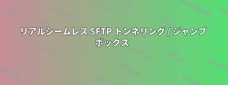 リアルシームレス SFTP トンネリング / ジャンプ ボックス 