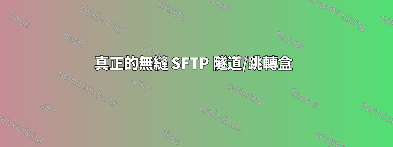 真正的無縫 SFTP 隧道/跳轉盒 