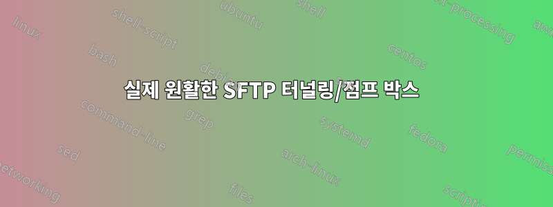 실제 원활한 SFTP 터널링/점프 박스 