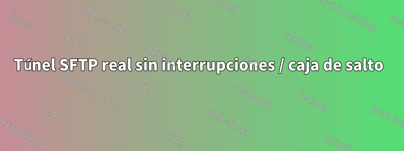 Túnel SFTP real sin interrupciones / caja de salto 