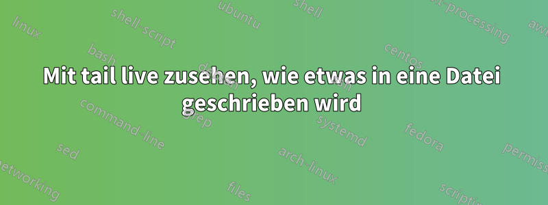 Mit tail live zusehen, wie etwas in eine Datei geschrieben wird