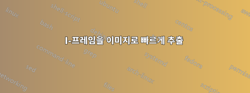 I-프레임을 이미지로 빠르게 추출