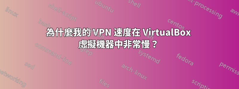 為什麼我的 VPN 速度在 VirtualBox 虛擬機器中非常慢？