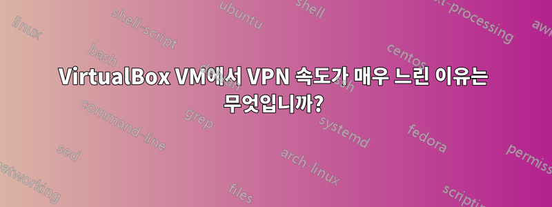 VirtualBox VM에서 VPN 속도가 매우 느린 이유는 무엇입니까?