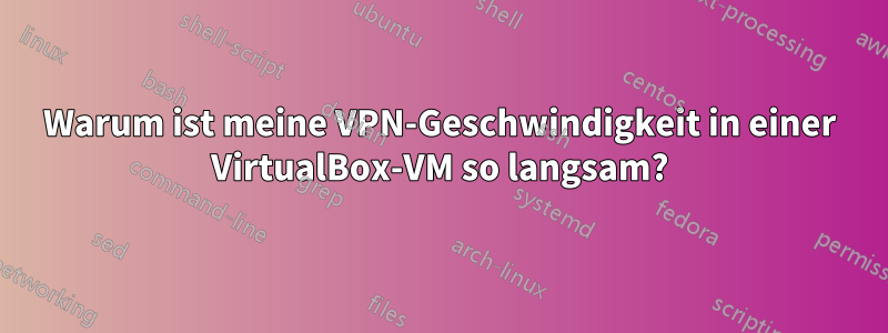 Warum ist meine VPN-Geschwindigkeit in einer VirtualBox-VM so langsam?