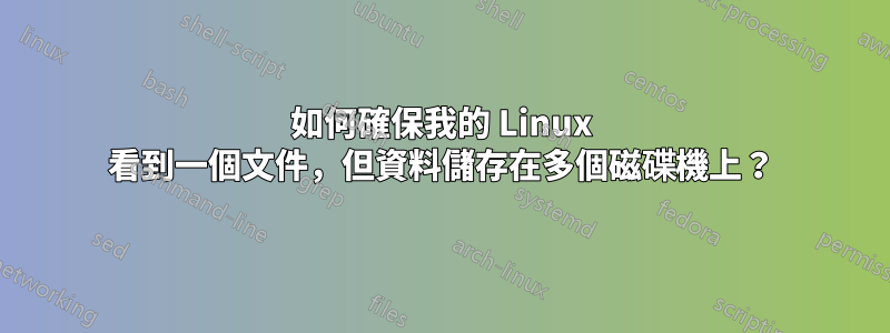 如何確保我的 Linux 看到一個文件，但資料儲存在多個磁碟機上？