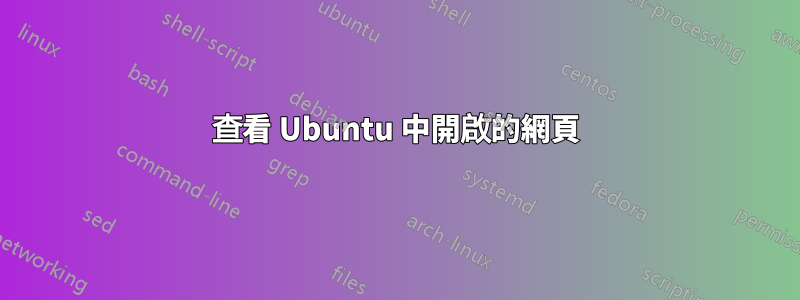 查看 Ubuntu 中開啟的網頁