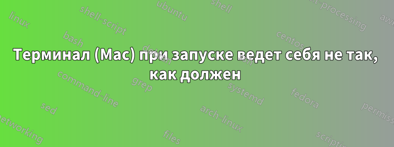 Терминал (Mac) при запуске ведет себя не так, как должен