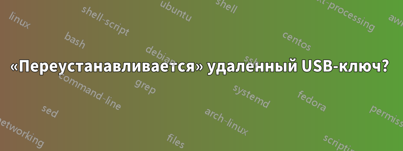 «Переустанавливается» удаленный USB-ключ?