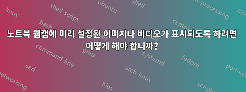 노트북 웹캠에 미리 설정된 이미지나 비디오가 표시되도록 하려면 어떻게 해야 합니까?