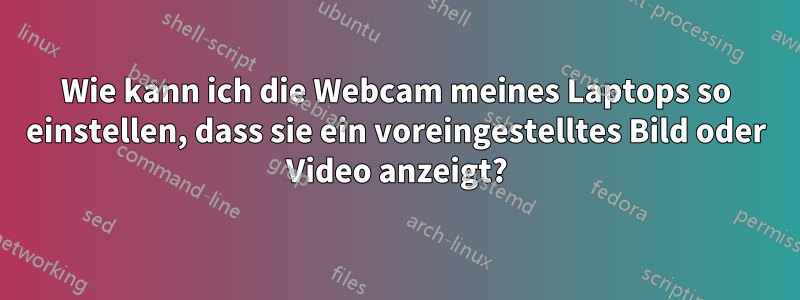 Wie kann ich die Webcam meines Laptops so einstellen, dass sie ein voreingestelltes Bild oder Video anzeigt?