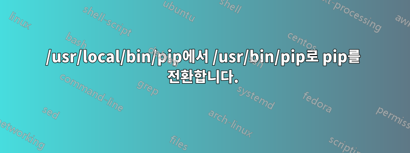 /usr/local/bin/pip에서 /usr/bin/pip로 pip를 전환합니다.