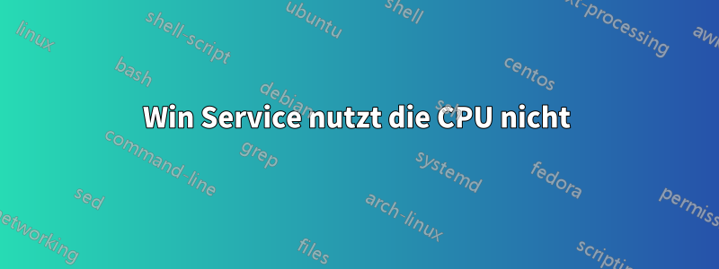 Win Service nutzt die CPU nicht