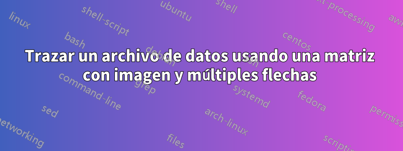 Trazar un archivo de datos usando una matriz con imagen y múltiples flechas