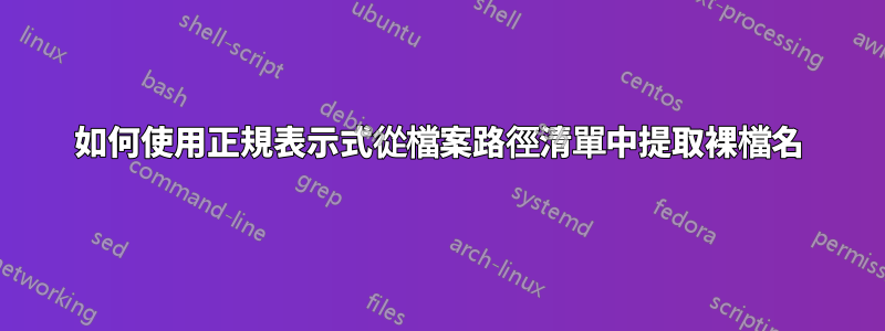 如何使用正規表示式從檔案路徑清單中提取裸檔名