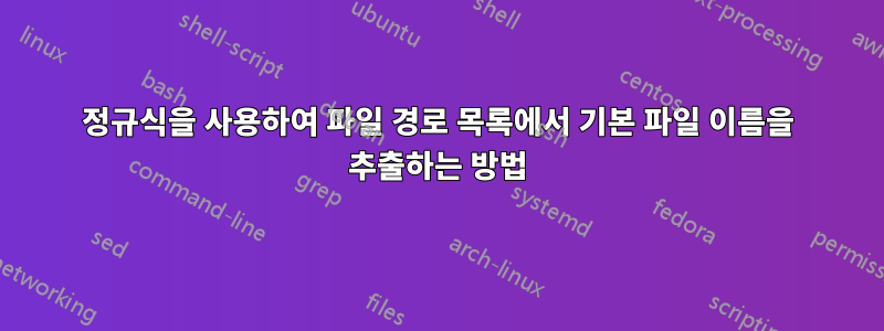 정규식을 사용하여 파일 경로 목록에서 기본 파일 이름을 추출하는 방법