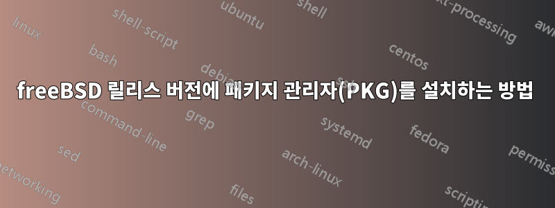 freeBSD 릴리스 버전에 패키지 관리자(PKG)를 설치하는 방법