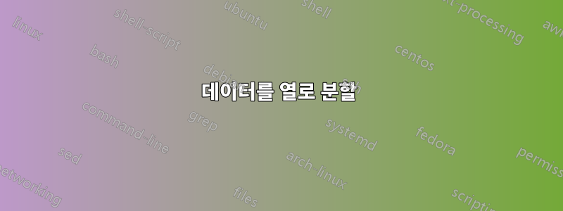 데이터를 열로 분할