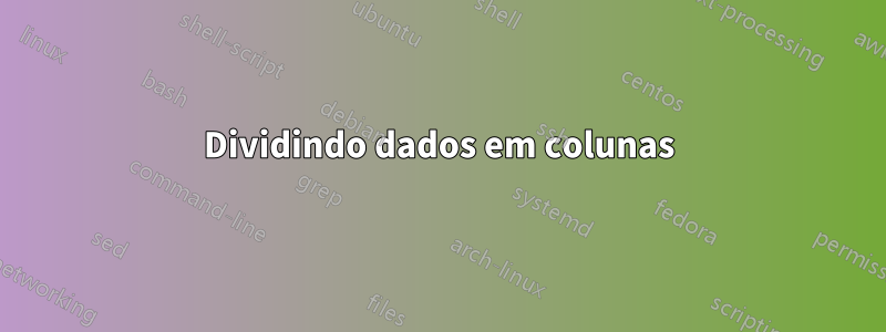 Dividindo dados em colunas