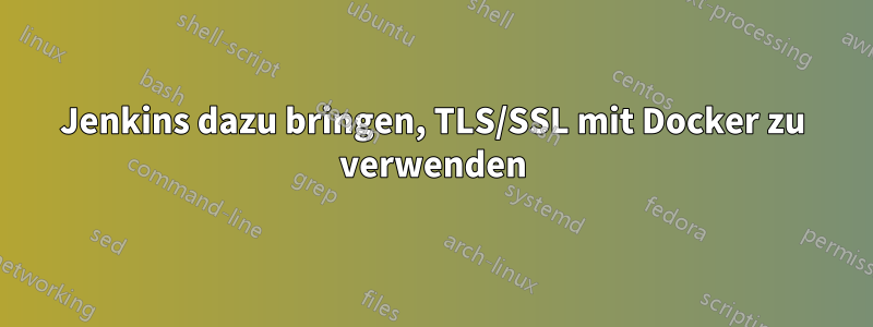 Jenkins dazu bringen, TLS/SSL mit Docker zu verwenden