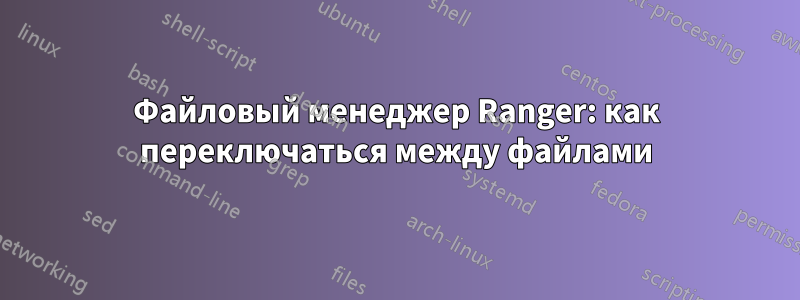 Файловый менеджер Ranger: как переключаться между файлами