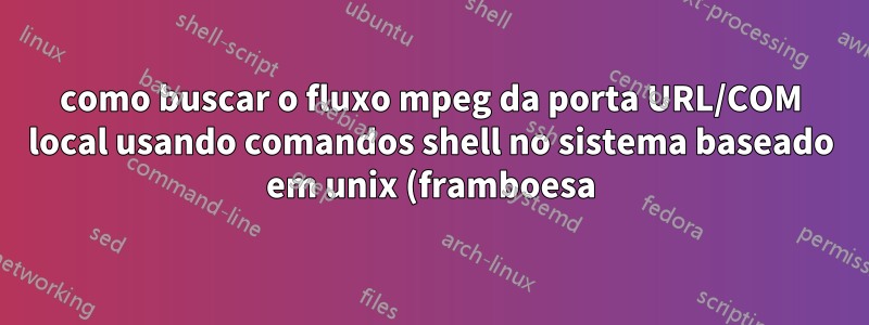 como buscar o fluxo mpeg da porta URL/COM local usando comandos shell no sistema baseado em unix (framboesa)?