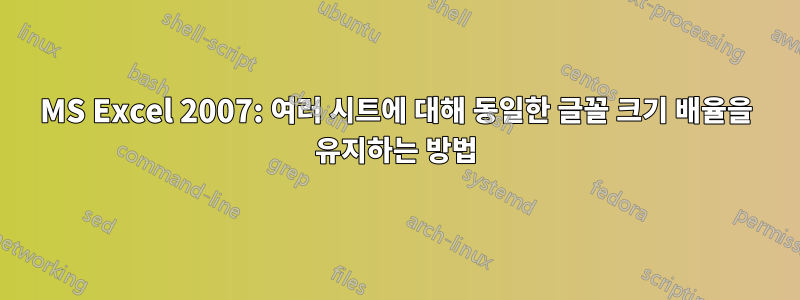 MS Excel 2007: 여러 시트에 대해 동일한 글꼴 크기 배율을 유지하는 방법