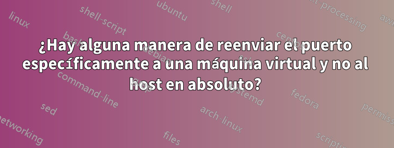 ¿Hay alguna manera de reenviar el puerto específicamente a una máquina virtual y no al host en absoluto?