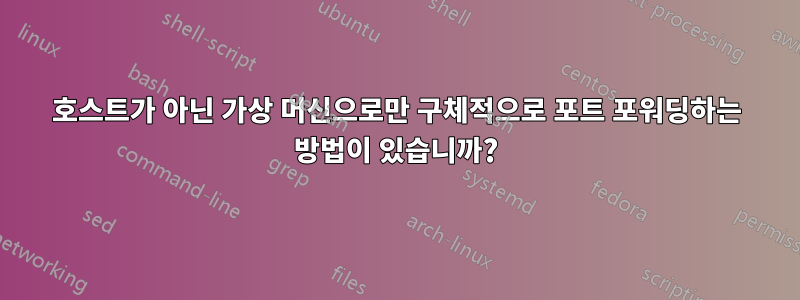 호스트가 아닌 가상 머신으로만 구체적으로 포트 포워딩하는 방법이 있습니까?