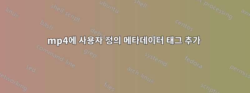 mp4에 사용자 정의 메타데이터 태그 추가