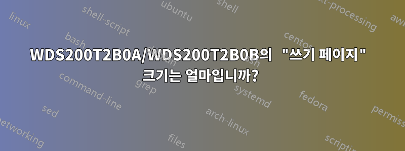 WDS200T2B0A/WDS200T2B0B의 "쓰기 페이지" 크기는 얼마입니까?