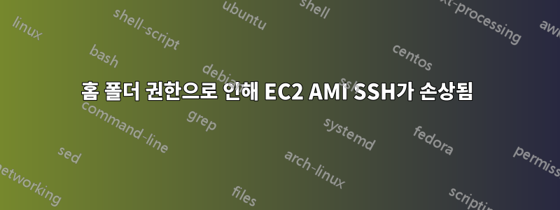 홈 폴더 권한으로 인해 EC2 AMI SSH가 손상됨