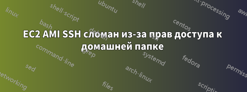 EC2 AMI SSH сломан из-за прав доступа к домашней папке