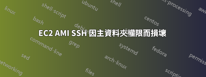 EC2 AMI SSH 因主資料夾權限而損壞