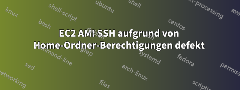 EC2 AMI SSH aufgrund von Home-Ordner-Berechtigungen defekt