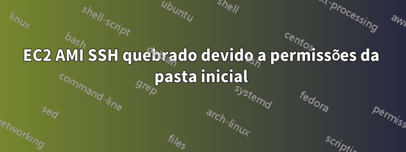 EC2 AMI SSH quebrado devido a permissões da pasta inicial