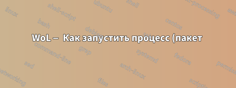 WoL — Как запустить процесс (пакет) после запуска Windows 10?