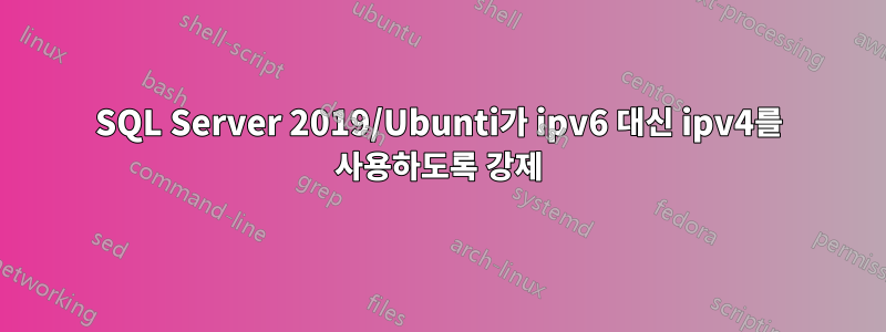 SQL Server 2019/Ubunti가 ipv6 대신 ipv4를 사용하도록 강제