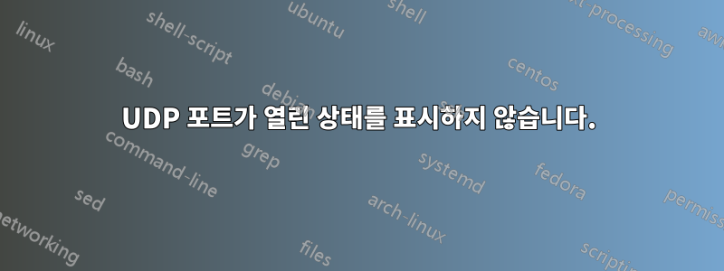 UDP 포트가 열린 상태를 표시하지 않습니다.