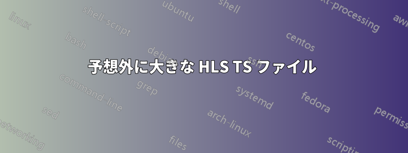 予想外に大きな HLS TS ファイル