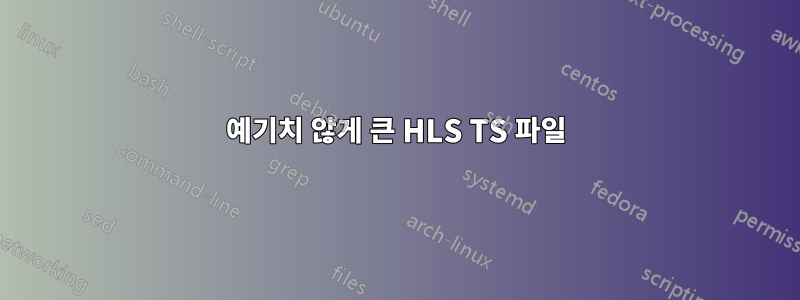 예기치 않게 큰 HLS TS 파일