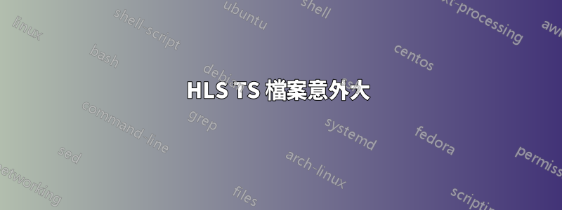 HLS TS 檔案意外大