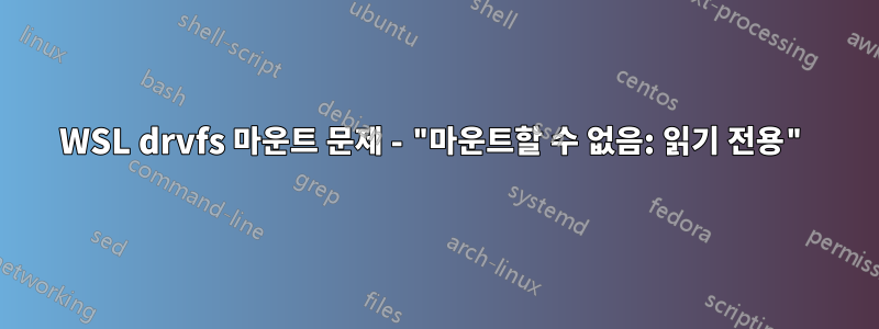 WSL drvfs 마운트 문제 - "마운트할 수 없음: 읽기 전용"