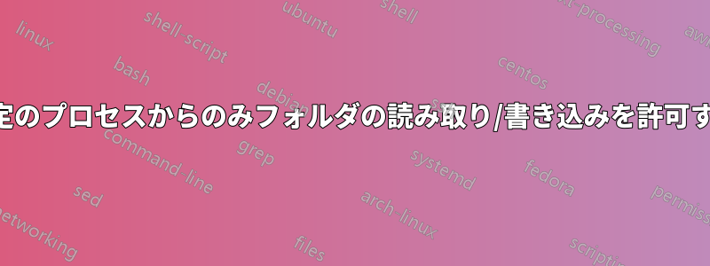 特定のプロセスからのみフォルダの読み取り/書き込みを許可する