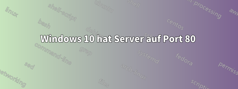 Windows 10 hat Server auf Port 80