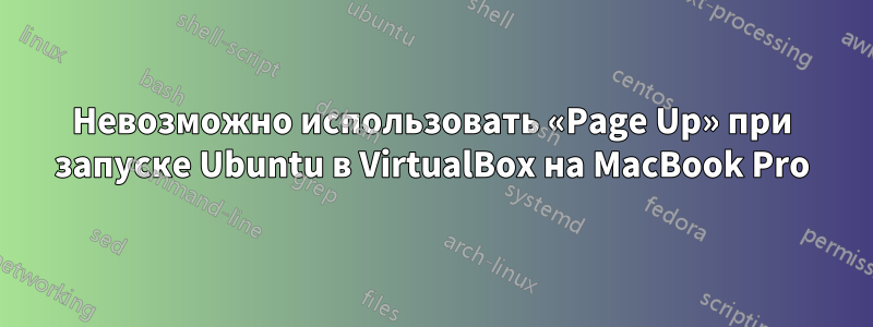 Невозможно использовать «Page Up» при запуске Ubuntu в VirtualBox на MacBook Pro