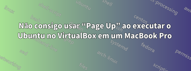 Não consigo usar “Page Up” ao executar o Ubuntu no VirtualBox em um MacBook Pro