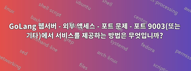 GoLang 웹서버 - 외부 액세스 - 포트 문제 - 포트 9003(또는 기타)에서 서비스를 제공하는 방법은 무엇입니까?