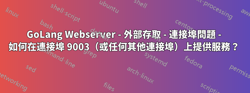 GoLang Webserver - 外部存取 - 連接埠問題 - 如何在連接埠 9003（或任何其他連接埠）上提供服務？