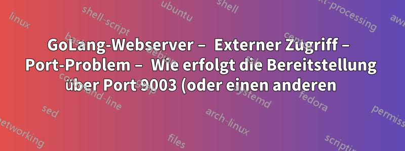 GoLang-Webserver – Externer Zugriff – Port-Problem – Wie erfolgt die Bereitstellung über Port 9003 (oder einen anderen)?